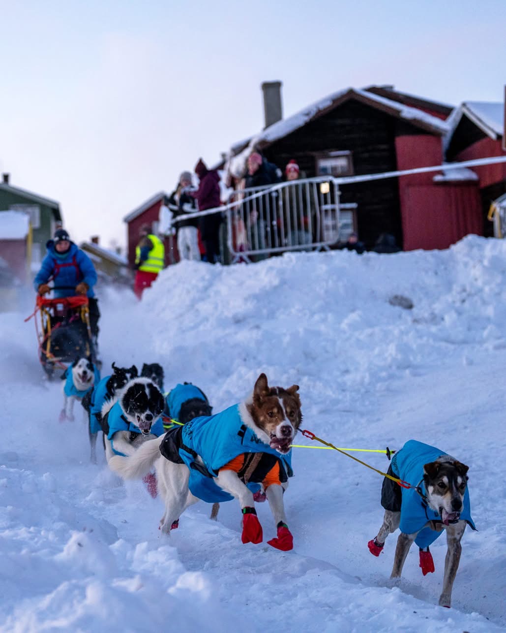 Hundespannet trekker sleden gjennom en snødekt landsbygate
